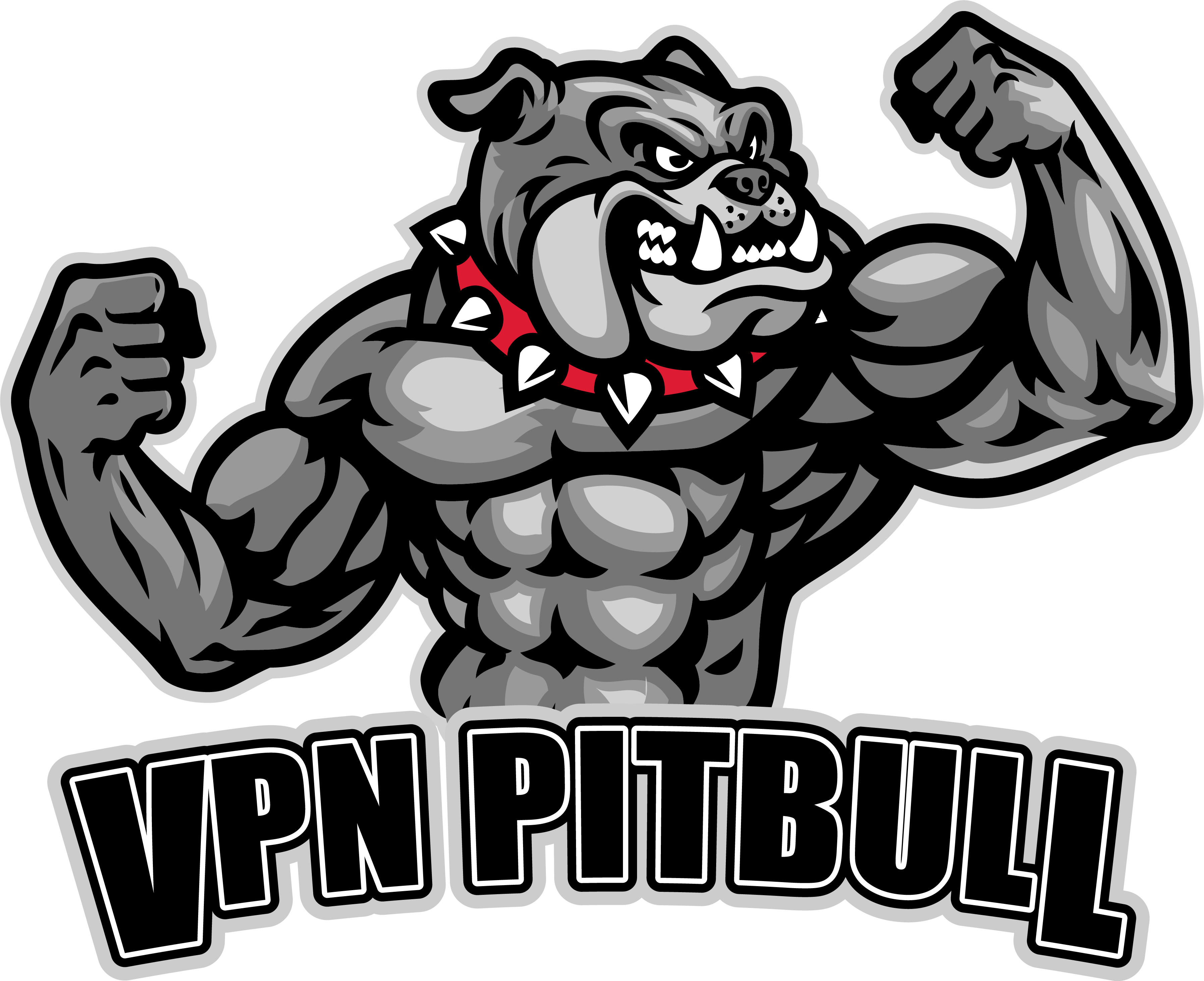 VPN Pitbull | Have a Strong Knowledge Like Pitbull