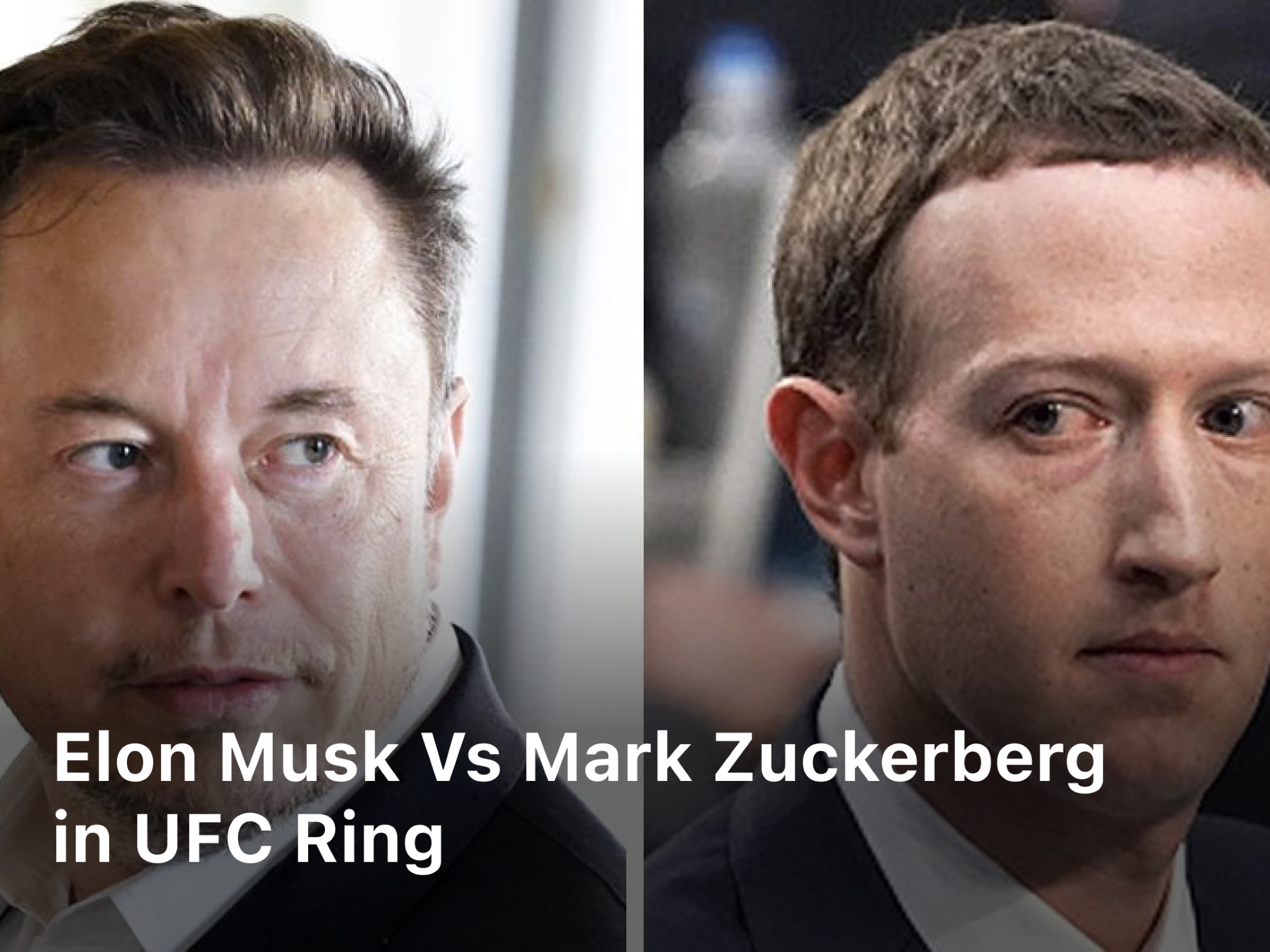 Ellon Musk vs Mark Zuckerberg